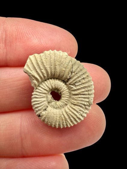 Photoroom 002 20260120 113556