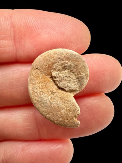 Photoroom 004 20260120 113556