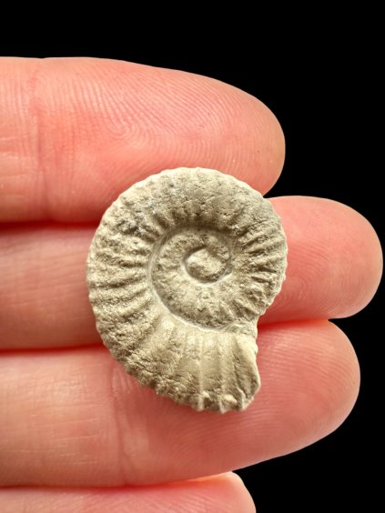 Photoroom 006 20260120 113556