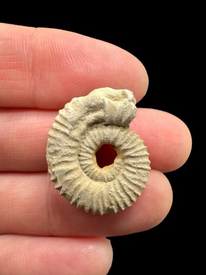 Photoroom 031 20260121 130052