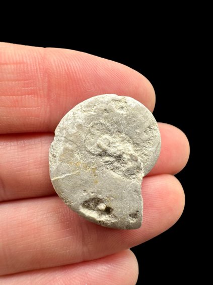 Photoroom 034 20260121 130052