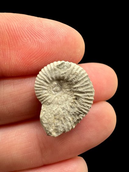 Photoroom 036 20260121 130052