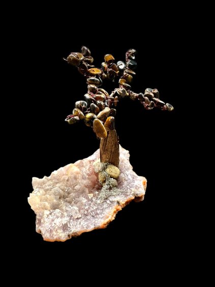 Photoroom 20260105 190725