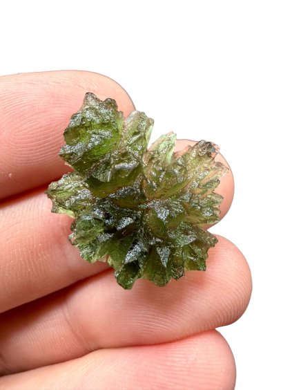 Photoroom 027 20260119 171226