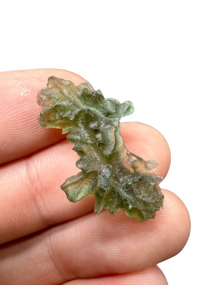 Photoroom 024 20260121 181044