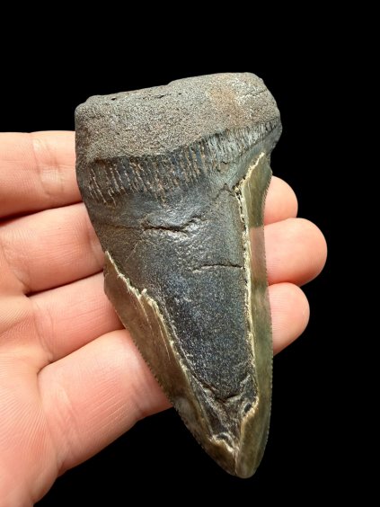 Photoroom 000 20260121 155728