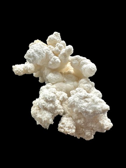 Photoroom 001 20260113 194303