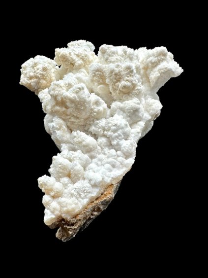 Photoroom 008 20260113 194303