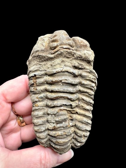 Photoroom 002 20260122 123624