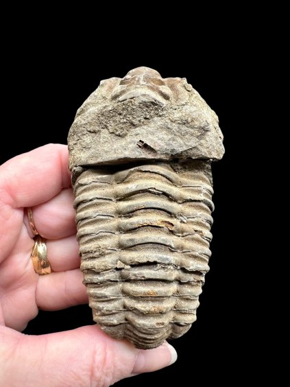 Photoroom 004 20260122 123624