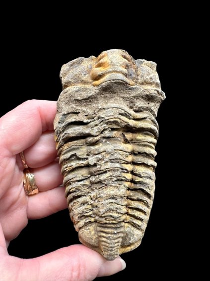 Photoroom 006 20260122 123624