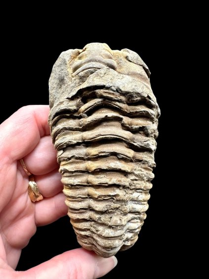 Photoroom 000 20260122 150833