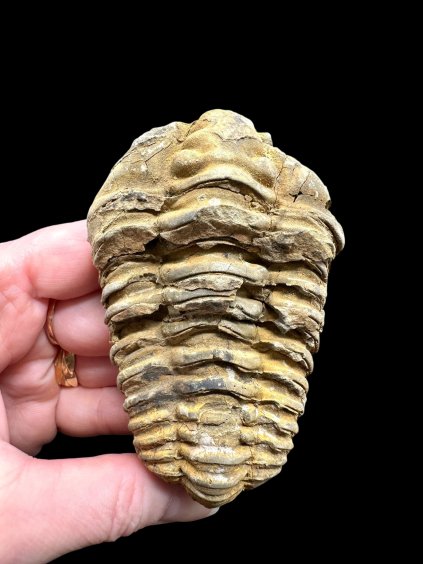 Photoroom 004 20260122 150833