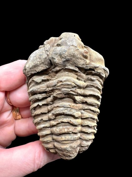 Photoroom 006 20260122 150833