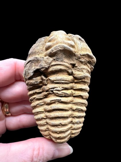 Photoroom 000 20260122 155322