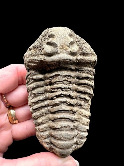 Photoroom 002 20260122 155322