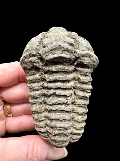 Photoroom 004 20260122 155322