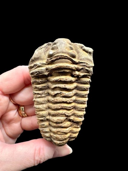 Photoroom 000 20260122 194932