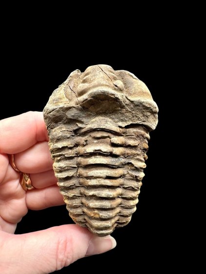 Photoroom 002 20260122 194932