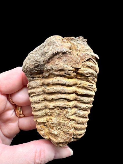 Photoroom 007 20260122 194932