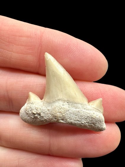 Photoroom 000 20260122 134525