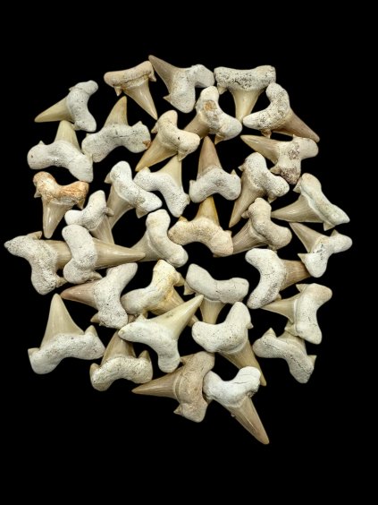 Photoroom 000 20260123 210451