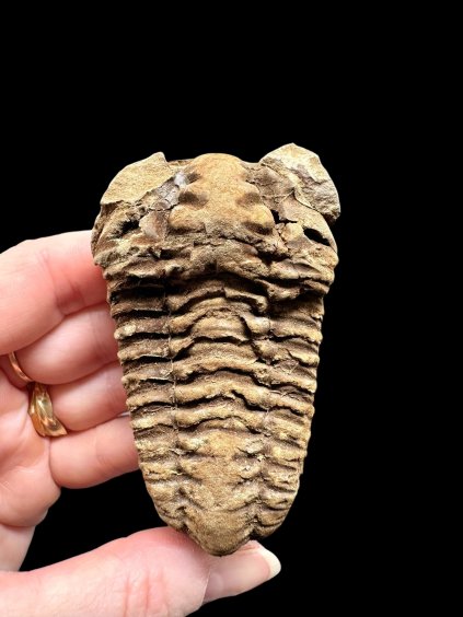 Photoroom 017 20260122 194932