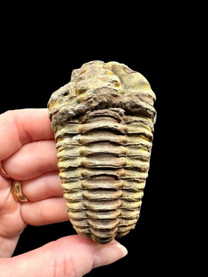 Photoroom 021 20260122 194932