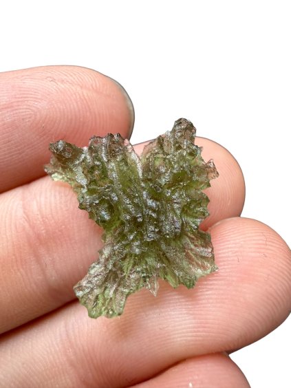 Photoroom 018 20260124 203702