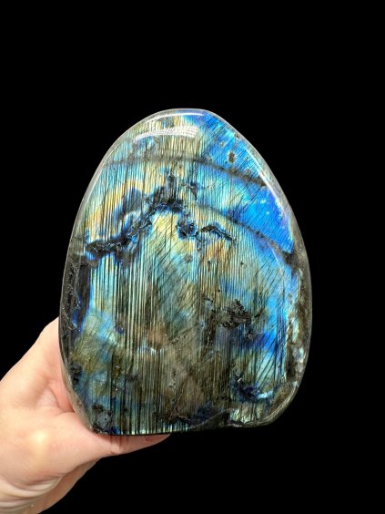 Photoroom 010 20260124 204447