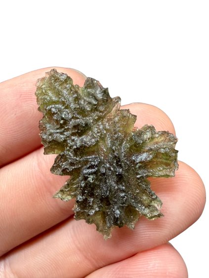 Photoroom 027 20260124 222900