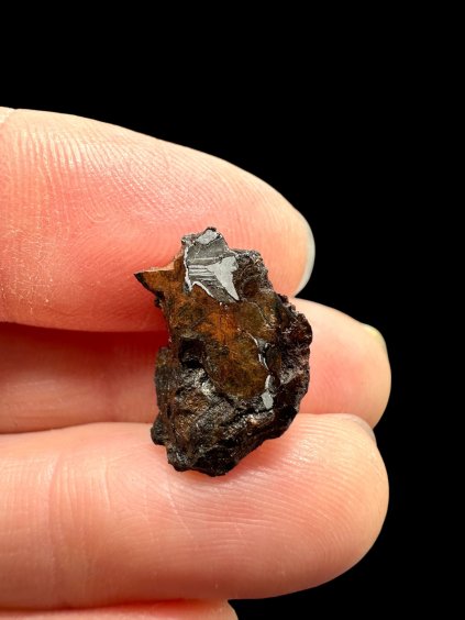 Meteorit Seymchan 2,3g / koncový řez – Magadan, Rusko