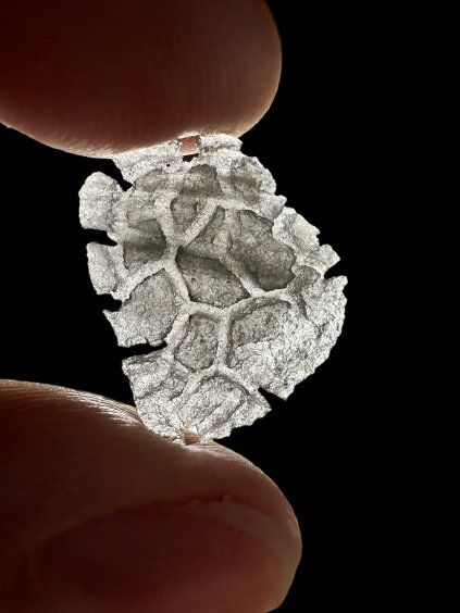 Carpathian obsidian – Hedgehog – 0,6g