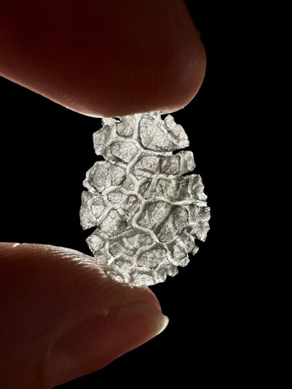 Karpathischer Obsidian – Igel – 1g