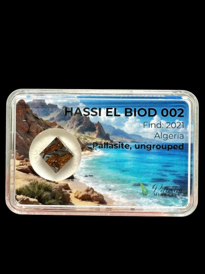 Photoroom 20260202 135038