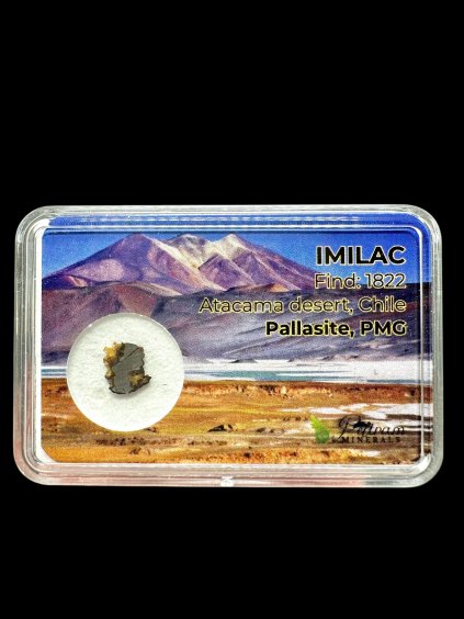 Photoroom 20260223 184444