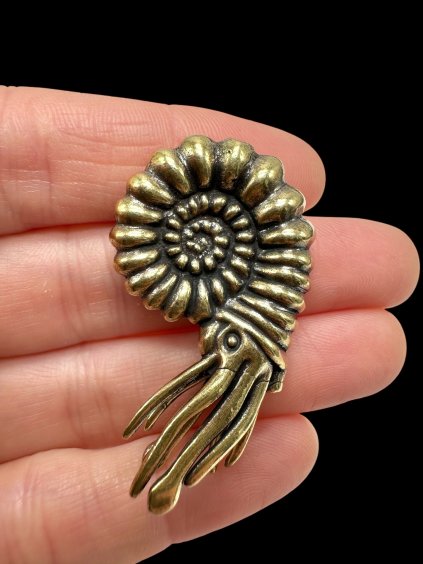 Brass ammonite