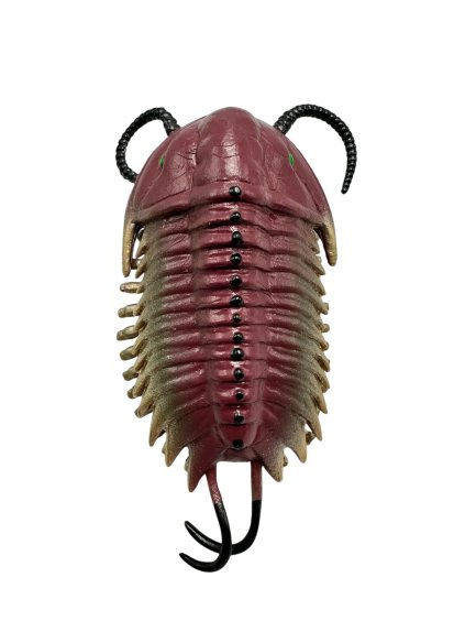 Plastový trilobit