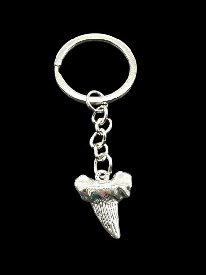 Shark tooth keyring