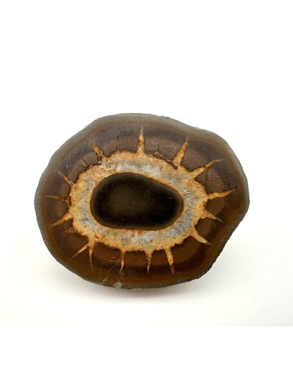 Septárie – Oujda, Maroko