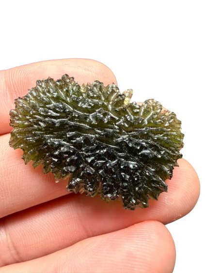 600369704 4269171216657162 3279432617544356404 n