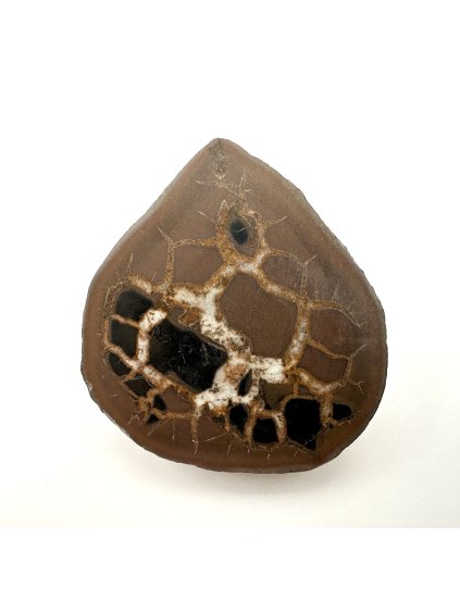 Septarie – Oujda, Marokko