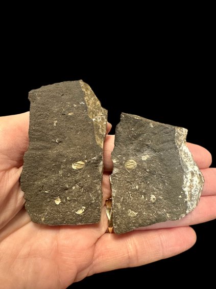 Photoroom 20260210 145632