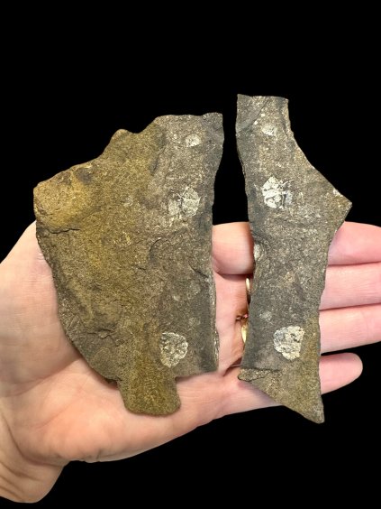 Photoroom 20260210 150128