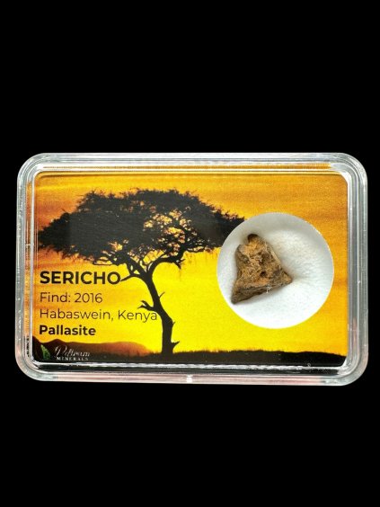 Sericho Pallasite Meteorite 1,4g – Kenya