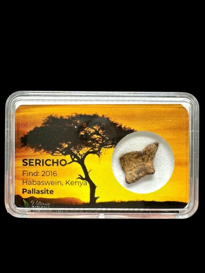 Photoroom 20260223 191229