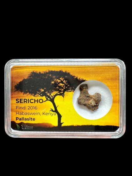 Photoroom 20260223 191420