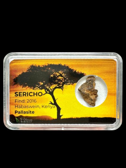 Photoroom 20260223 191504