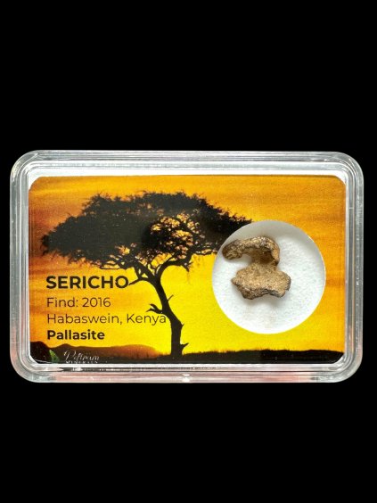 Photoroom 20260223 191602