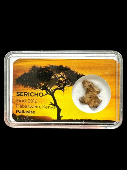 Sericho Pallasite Meteorite 1,2g – Kenya